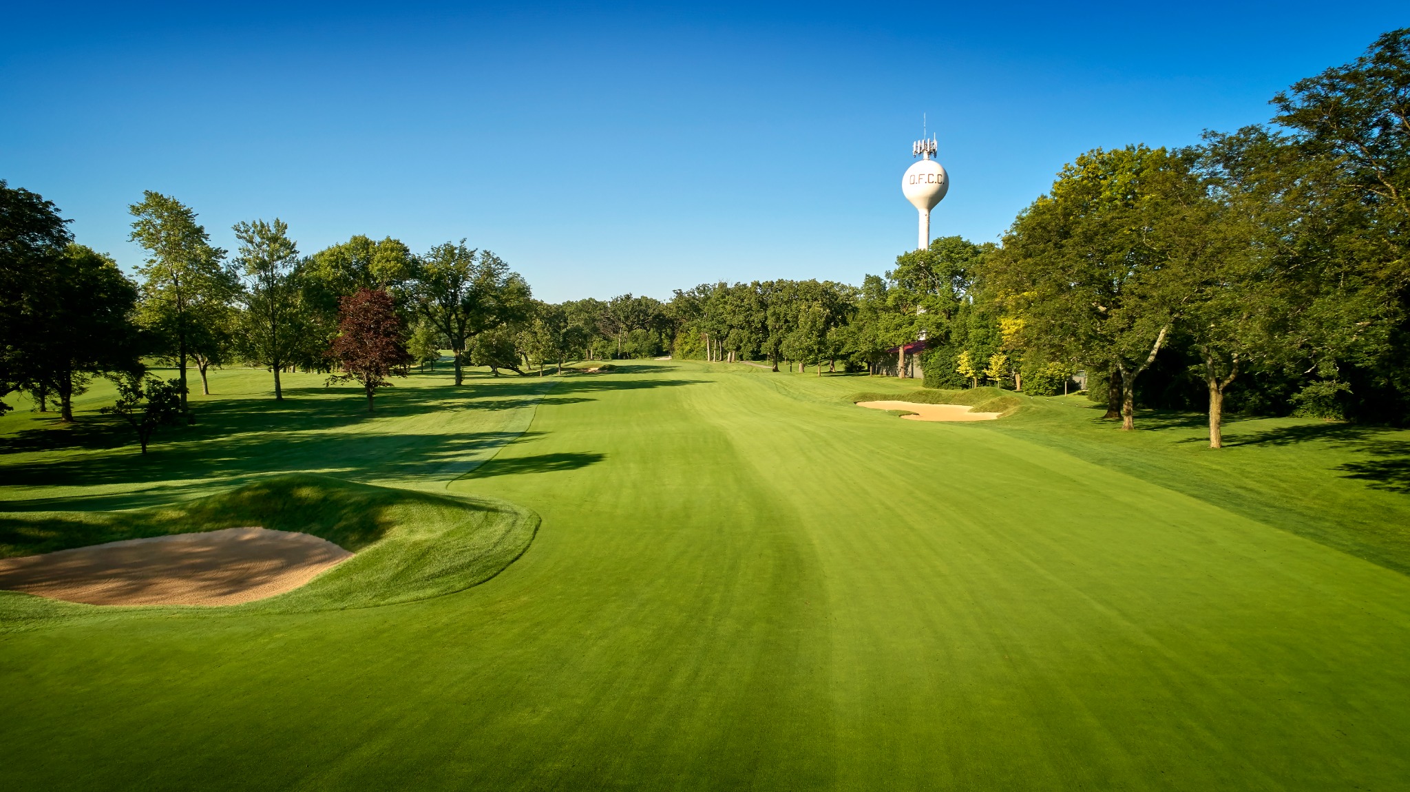 Olympia Fields Country Club course view